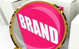 Chinese celebrity endorsement case study