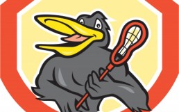 Online Game Marketing for Western Games in China