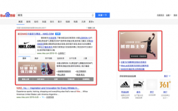 Baidu Brand Zone